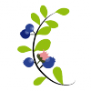 Erste blaue Früchte Erste blaue Früchte