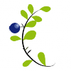 Nachernte